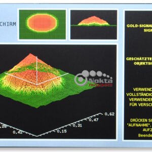 nokta-goldenking-ergebnis-gold-gross-nuggets
