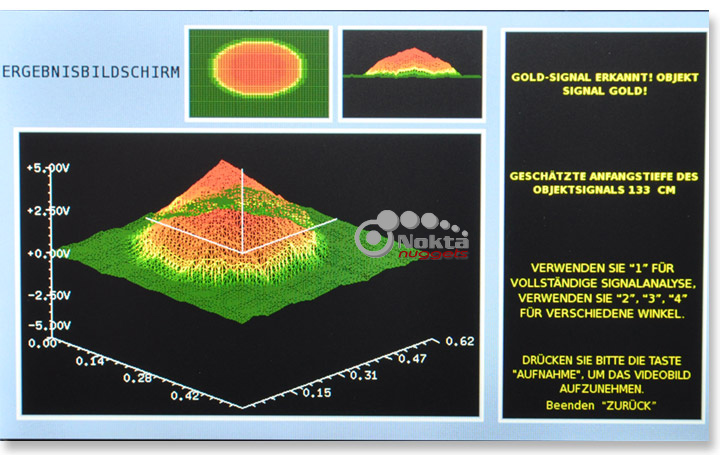 nokta-goldenking-ergebnis-gold-gross-nuggets