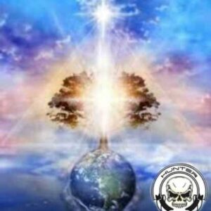 ΟΡΓΟΝΙΤΕΣ ΜΑΡΤΥΡΕΣ