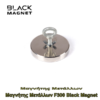 Μαγνήτης Μετάλλων F300 Black Magnet